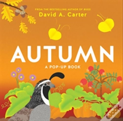 Capa do artigo Autumn