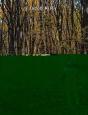 Autumn Landscape - Preview