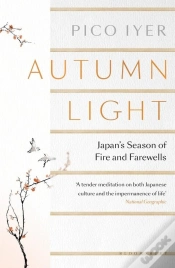 Capa do artigo Autumn Light