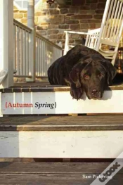 Capa do artigo Autumn Spring