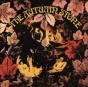 Autumn stone - CD - Preview