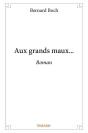 Aux Grands Maux... - Roman - Preview