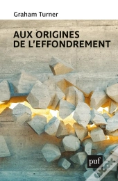 Aux Origines De L'Effondrement