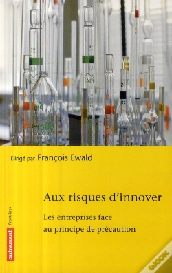 Capa do artigo Aux Risques D'Innover ; Les Entreprises Face Au Principe De Précaution