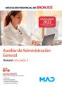 Auxiliar Administracion General Diputacion Provinci - Preview