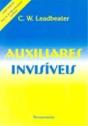 Auxiliares Invisíveis - Preview