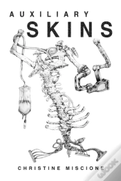 Capa do artigo Auxiliary Skins