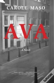 Capa do artigo Ava