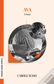 Capa do artigo Ava