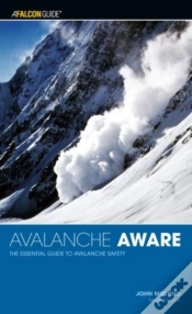 Capa do artigo Avalanche Aware