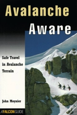 Capa do artigo Avalanche Aware