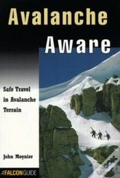 Capa do artigo Avalanche Aware