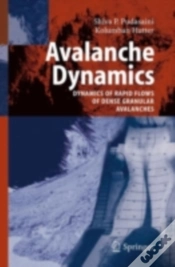 Capa do artigo Avalanche Dynamics