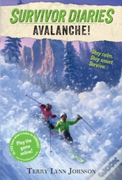 Capa do artigo Avalanche!