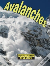 Capa do artigo Avalanches