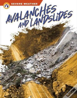 Capa do artigo Avalanches And Landslides