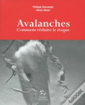 Capa do artigo Avalanches ; Comment Réduire Le Risque
