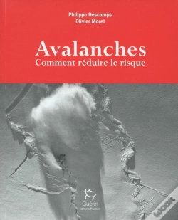 Capa do artigo Avalanches ; Comment Réduire Le Risque