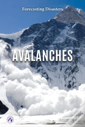 Capa do artigo Avalanches