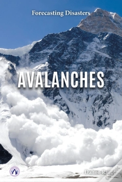 Capa do artigo Avalanches