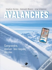 Avalanches