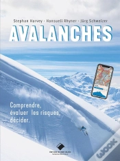 Capa do artigo Avalanches