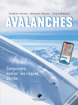 Capa do artigo Avalanches