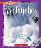 Capa do artigo Avalanches