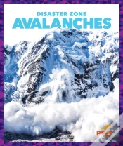 Capa do artigo Avalanches
