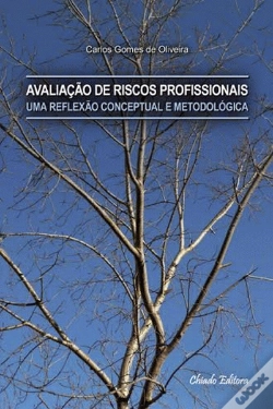 Capa do artigo Avaliação de Riscos Profissionais