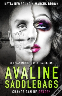 Capa do artigo Avaline Saddlebags