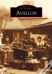 Capa do artigo Avallon