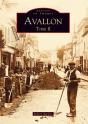 Avallon Tome 2 - Preview