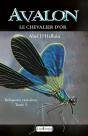 Avalon  Le Chevalier D'Or : Reliquaire Troisieme Tome 3 - Preview