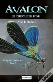 Avalon  Le Chevalier D'Or : Reliquaire Troisieme Tome 3