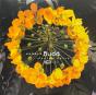 Avalon Sutra - Vinil - Preview