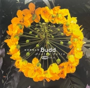 Capa do artigo Avalon Sutra - Vinil