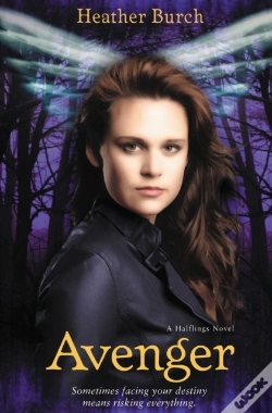 Capa do artigo Avenger