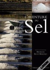 Capa do artigo Aventure Du Sel