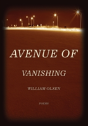 Avenue Of Vanishing - Preview