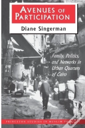 Capa do artigo Avenues Of Participation