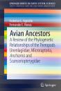 Avian Ancestors - Preview