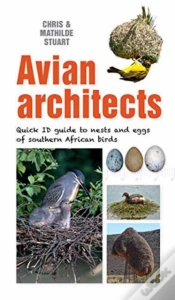 Capa do artigo Avian Architects