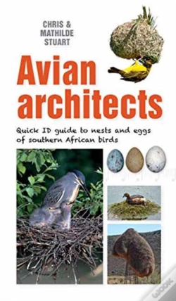 Capa do artigo Avian Architects