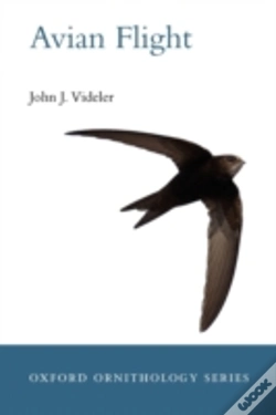 Capa do artigo Avian Flight