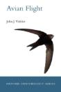 Avian Flight - Preview