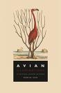 Avian Illuminations - Preview