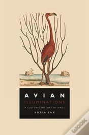 Capa do artigo Avian Illuminations