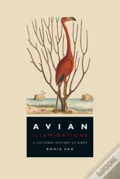 Capa do artigo Avian Illuminations