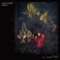 Aviary - Vinil - Preview